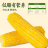 有机黄糯玉米 东北寒地黑土 有机认证 配料干净 软糯绵密 健康非转基因 商品缩略图4