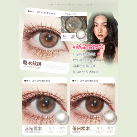 【活动】Liliyacon日抛6片装 新品  原木核桃/浮光青木/一颗琥珀/落日松木 青涩橄榄/萤火虫光/南洋琥珀/笨蛋比熊/起司小猫 14.5mm大直径美瞳 可爱大眼萝莉风 商品图1