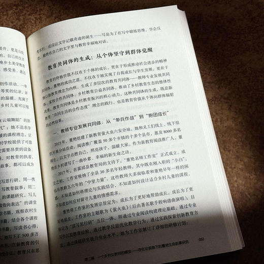 寻找自己的光 教师生命叙事里的成长密码 大夏书系 教师专业发展 苏静 商品图12