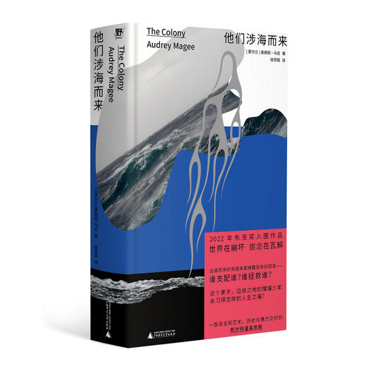 他们涉海而来（特雷弗和托宾的继承者！2022年布克奖提名作品，Goodreads近万人评分4.12，一曲来自爱尔兰的温柔哀歌，完美适配夏日阅读） 商品图5