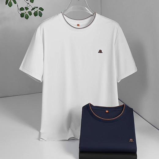 【DWP】【桑蚕丝】大依优型大码男装夏季圆领短袖T恤宽松舒适透气短袖 商品图3