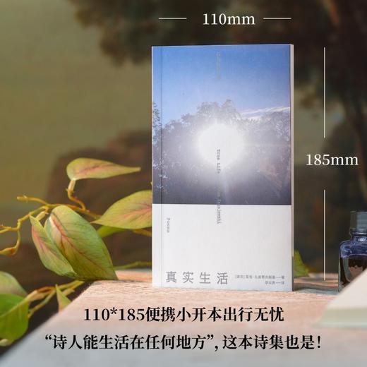 真实生活（《无形之手》《永恒的敌人》作者，布罗茨基、米沃什、桑塔格、托宾一致推崇的波兰诗歌大师扎加耶夫斯基，zui后一次“尝试赞美 商品图4