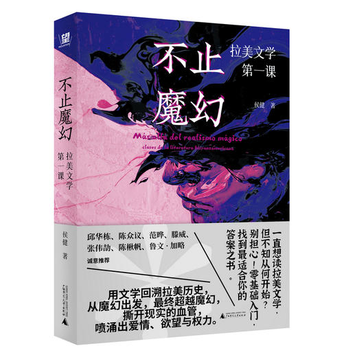 不止魔幻：拉美文学第一课（邱华栋、陈众议、范晔、滕威、张伟劼、陈楸帆等诚意推荐；马尔克斯《我们八月见》译者的拉美文学阅读指南） 商品图4