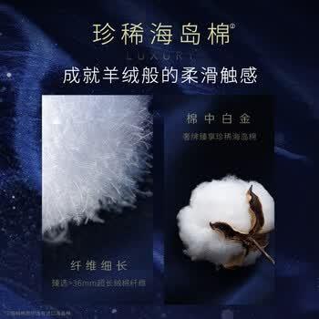 高洁丝【39元任选5件】奢适纯棉海岛棉卫生巾280mm7片量大日用姨妈巾 商品图7