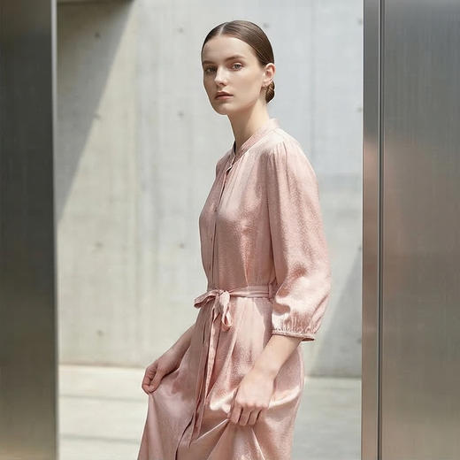 PALUOPO/PL蚕丝收腰显瘦桑波缎提花立领连衣裙ES250330Z 商品图2