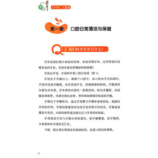 小口腔 大健康 全家适用的口腔保健指南 周建 聚焦口腔健康的科普读物 涉及到口腔保健在不同年龄阶段的重点 科学技术文献出版社 商品图3