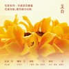 【呈白·太阳花非遗白瓷花香薰礼盒】 无火家居 扩香氛 摆件【花奖非遗瓷花香薰】 商品缩略图3