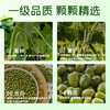 十月稻田 绿豆 5斤 可发豆芽 打豆浆 东北五谷杂粮 粗粮 大米伴侣 商品缩略图1