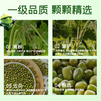 十月稻田 绿豆 5斤 可发豆芽 打豆浆 东北五谷杂粮 粗粮 大米伴侣 商品图1