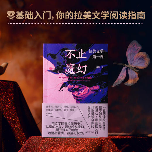 不止魔幻：拉美文学第一课（邱华栋、陈众议、范晔、滕威、张伟劼、陈楸帆等诚意推荐；马尔克斯《我们八月见》译者的拉美文学阅读指南） 商品图0