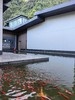 【峨眉山-268号院】2房/4房/18房温泉私汤小院，可单房预定，山里独院，看日出云海。ys 商品缩略图14