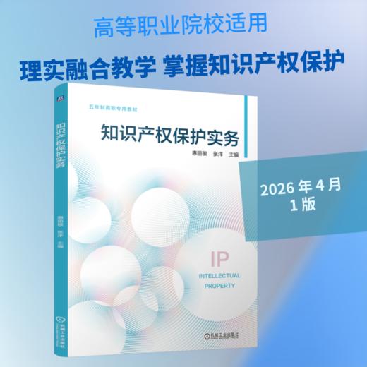 知识产权保护实务 商品图0