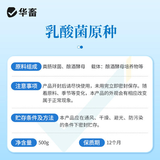 华畜 乳酸菌原种 1000亿高含量 专利菌种 商品图6
