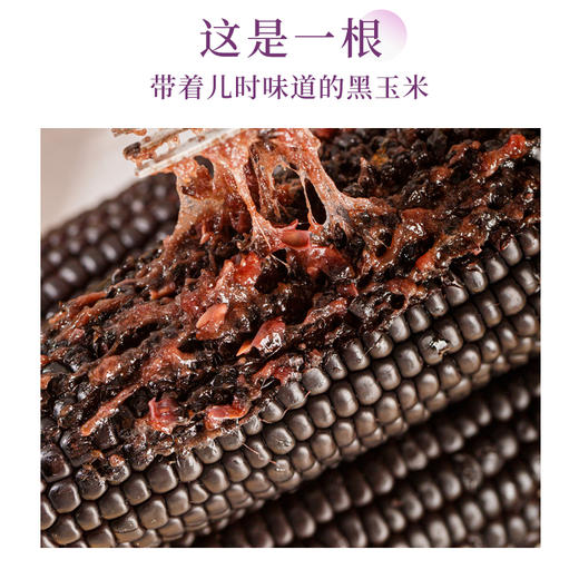 东北黑玉米黄玉米# 香嫩糯甜，通过非转基因、农残等749项检测，黑玉米花青素满满，黄玉米煲汤、炒菜、榨汁、做甜点、拌沙拉 商品图2