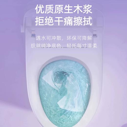 【严选超市】泉日记 原生木浆湿厕纸70抽/包*6包 售价39.9 商品图4