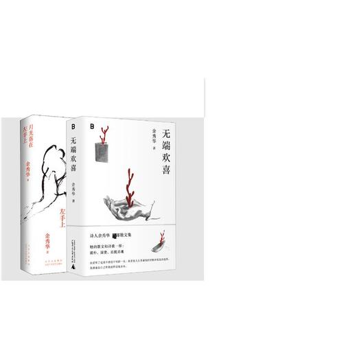 余秀华2册   月光落在左手上+无端欢喜	 商品图0