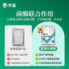 华畜蓝藻分解酶溶解蓝藻水产养殖生物分解溶氧低鱼虾蟹鱼塘除蓝藻 商品缩略图2