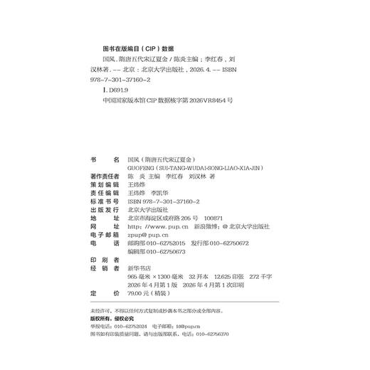 国风（隋唐五代宋辽夏金） 陈炎  主编  王彦章 著  北京大学出版社 商品图2