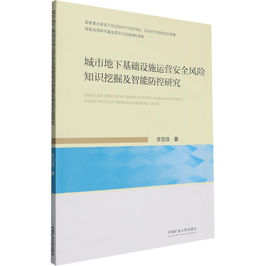 城市地下基础设施运营安全风险知识挖掘及智能防控研究 商品图0