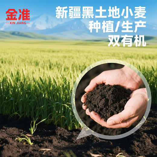 让你们感受一下什么才叫好面粉 金准面粉 有机高纤全麦粉 有机高纤黑麦全麦粉 有机高蛋白小麦粉 包子饺子面条都行 商品图1