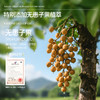 【会员价 · 沐浴露】地球妈妈 · 儿童无泪净润沐浴露学生清洁后背温和保湿持久留香沐浴乳 商品缩略图2