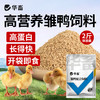 华畜小鸭子饲料喂鸭专用小鸟小黄鸭子小鹅小鸡吃的粮食物饲料雏鸭 商品缩略图0