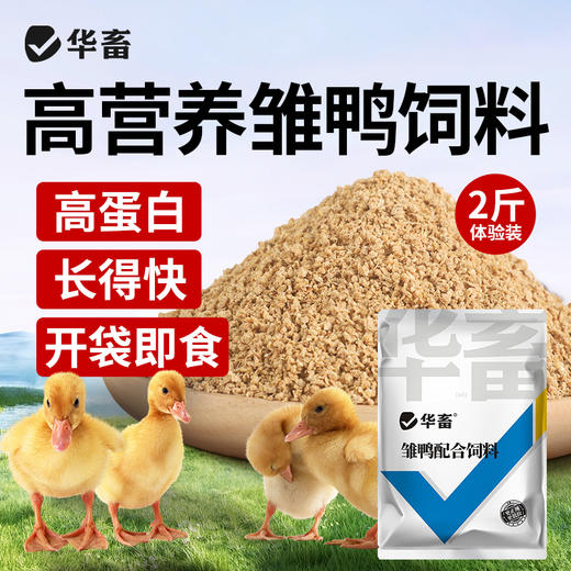 华畜小鸭子饲料喂鸭专用小鸟小黄鸭子小鹅小鸡吃的粮食物饲料雏鸭 商品图0