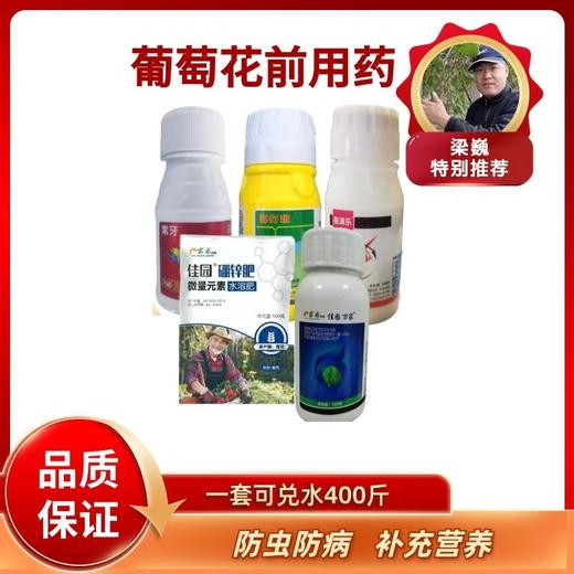 葡萄花前用药 一套兑水400斤 商品图0