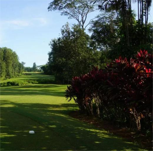 贾古拉维高尔夫乡村俱乐部 Jagorawi Golf & Country Club | 雅加达高尔夫 | 印尼高尔夫球场俱乐部 商品图1