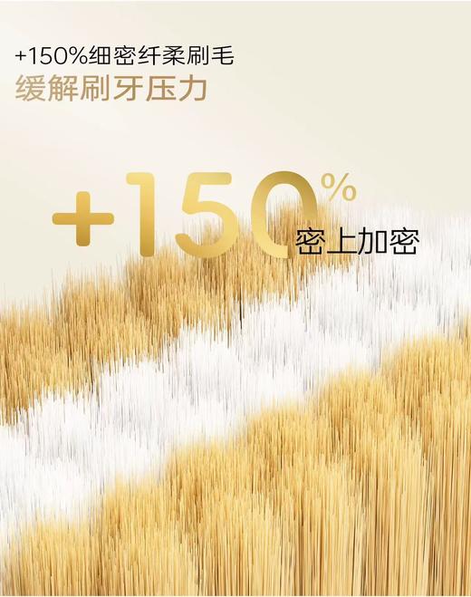 【店庆提前购】哈瑞咪多样屋 【山姆同款牙刷】米选 轻奢万毛宽头牙刷7支装 吊牌价：59元  活动价：19.9元7支 商品图3