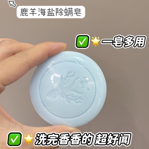 【鹿羊lusheep 海盐控油净螨皂】高山苦参+深海矿盐 双重除螨 专利配方 净螨清痘 清爽控油 温和0添加 沐浴洗脸洗手一块搞定 包装内送起泡网 100g/盒 商品图1