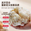 【即日起至5.16日 买5筒送3袋湿米粉】湖南隆回地标 | 有客瑶来龙牙百合挂面/面条 爽滑又筋道汤面烩面拌面炒面均适合 400克*4筒/5筒 800克*3筒礼盒装 商品缩略图1