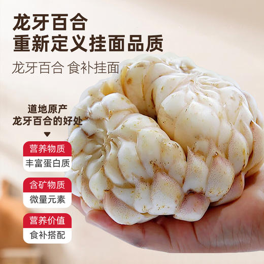 【即日起至5.16日 买5筒送3袋湿米粉】湖南隆回地标 | 有客瑶来龙牙百合挂面/面条 爽滑又筋道汤面烩面拌面炒面均适合 400克*4筒/5筒 800克*3筒礼盒装 商品图1