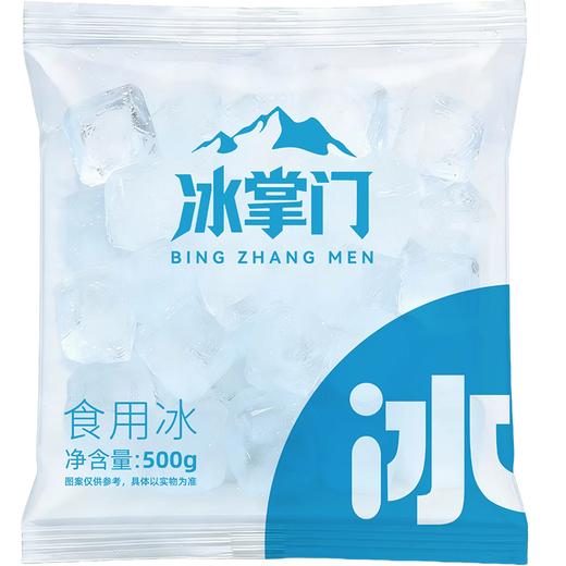 冰掌门500g食用冰袋 商品图0