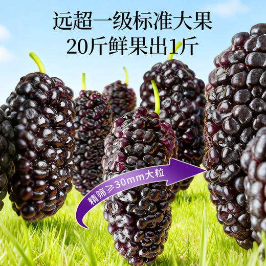 神农金康 【大果】有机桑葚干400克 全家老少即食零食   原生态真滋补 喝护家人健康 商品图3