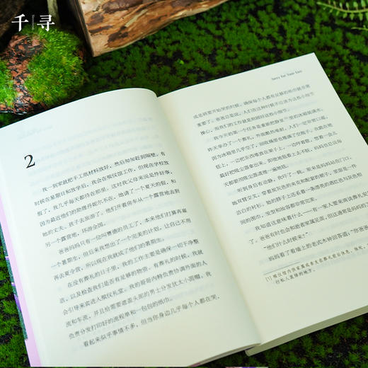 【走，去书里玩——联合推荐书单】千寻文学·人生大事  儿童文学 〔加〕乔安妮·利维/著 毛沫/译 商品图3