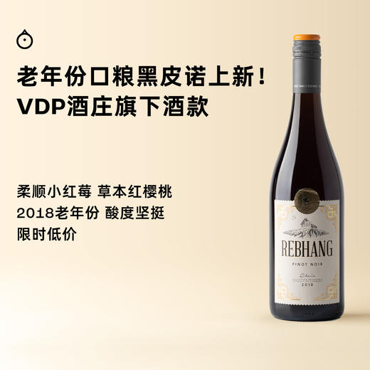 企鹅市集|德国雷柏行酒庄 黑皮诺干红葡萄酒2018 VDP酒庄旗下酒款 爆汁红莓 商品图0
