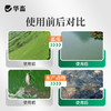 华畜蓝藻分解酶溶解蓝藻水产养殖生物分解溶氧低鱼虾蟹鱼塘除蓝藻 商品缩略图4