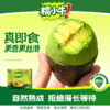 秘鲁树上熟牛油果 | 入口丝滑浓郁，清甜绵密!被誉为“森林黄油”!到手即食，轻松剥皮!鲜虾鸡蛋鱼子酱好搭配，吃法多样 商品缩略图2