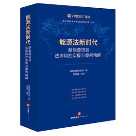 能源法新时代： 新能源项目法律风控实操与案例精解  刘新海 主编   法律出版社