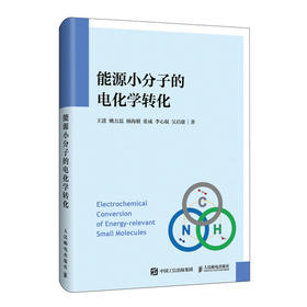 碳氢氮能源小分子的电化学转化 碳氢氮循环先进催化剂