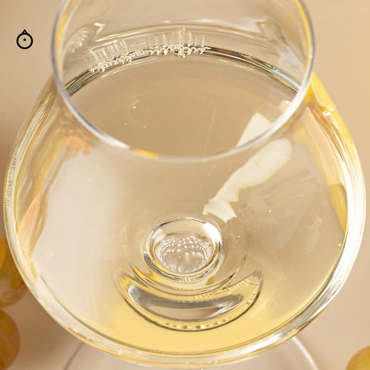 企鹅市集|德国哈姆酒庄 雷司令干白葡萄酒 2大特级园混酿 百年VDP酒庄入门款 柠檬白花香 商品图3