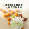 【金桔陈皮饮】草本熬煮 清爽舒畅 商品缩略图3