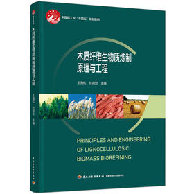 木质纤维生物质炼制原理与工程（中国轻工业“十四五”规划教材）