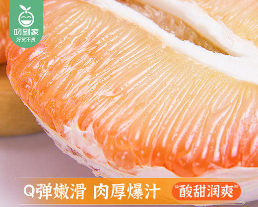 泰国翡翠柚/1个（850g±100g） 商品图3