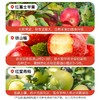金豆芽100ml山楂青梅汁 商品缩略图2