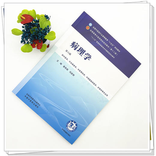 病理学 姜希娟 何彦丽 主编（第六版）全国中医药行业高等教育十五五规划教材第十二版 中国中医药出版社 商品图1