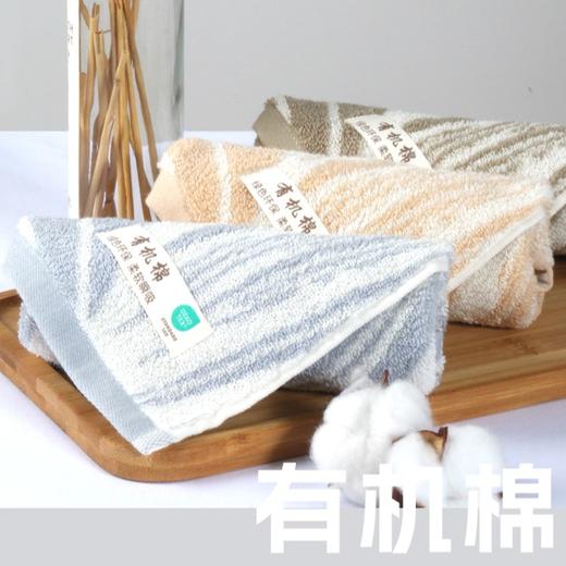 双灯家纺  有机长绒棉毛巾/浴巾 商品图2