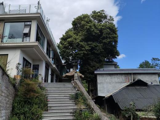 【觅趣632号院·雅安蒙顶山】5房小院，有机麻包厢，可以采茶制茶，爬山徒步bsms 商品图2