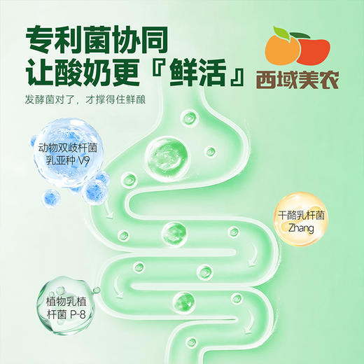 【FX】内蒙，武功双仓发     西域美农欧若姆鲜奶皮酸奶 PLUS 酸奶 商品图3